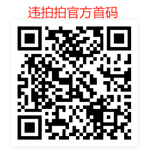 违拍拍app首码，震撼来袭，具体攻略与玩法介绍